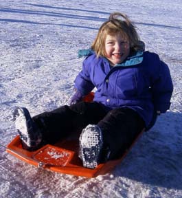 sled3.jpg (19682 bytes)